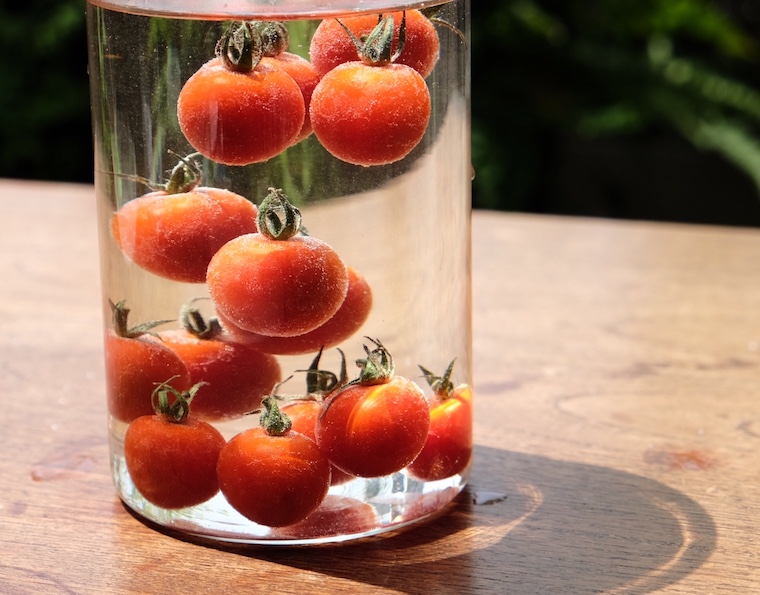 甘いトマトを見分ける方法